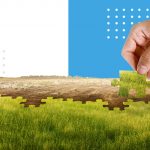 pellet-carbono-neutral