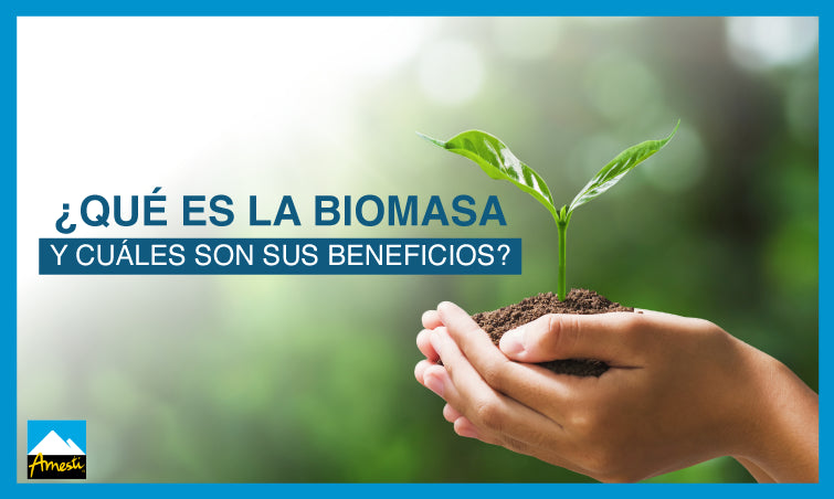 ¿Qué es la biomasa y cuáles son sus beneficios? | Amesti