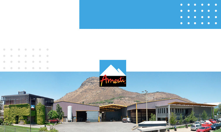 Conoce la historia de nuestra empresa Amesti | Amesti.cl