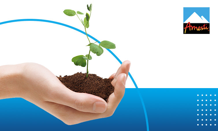 Reduce tu huella de carbono al usar productos Amesti | Amesti.cl