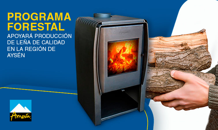 Programa forestal apoyará producción de leña de calidad Aysén | Amesti