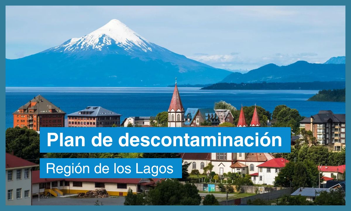 Plan De Descontaminación En Uso De Leña [9 Comunas Del Sur]