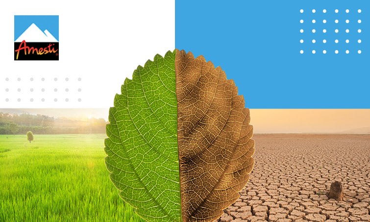 Enorgullécete de usar leña y pellet. ¡Eres carbono neutral! | Amesti.cl